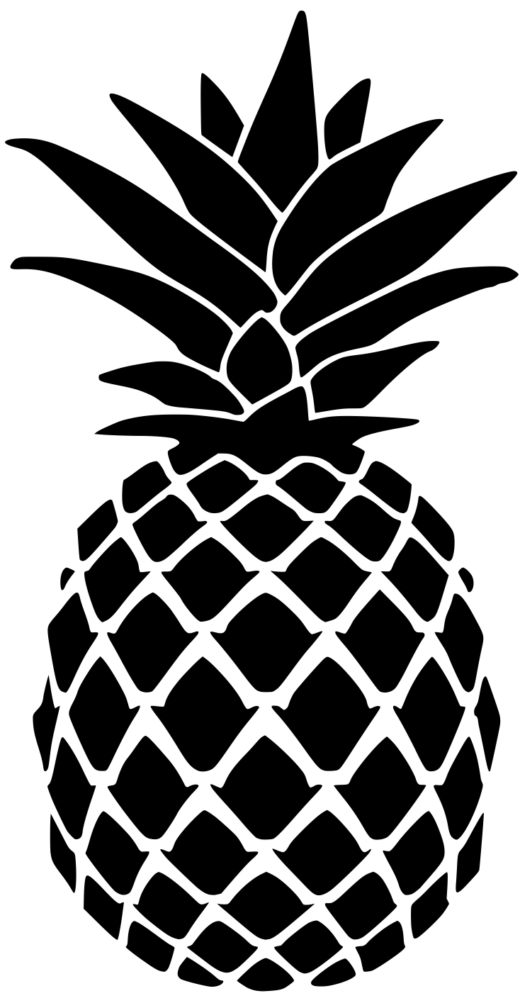 Pineapple Stencil for Doormat Lydi Out Loud