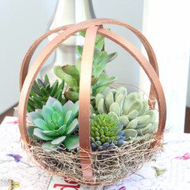 This DIY Terrarium is made out of painted embroidery hoops!