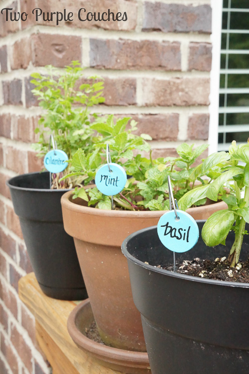 20 Darling Garden Markers To Decorate Your Garden Lydi Out Loud