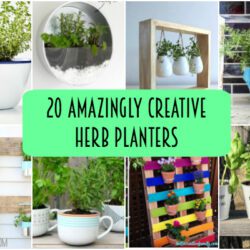 20 Amazingly Creative Herb Planters