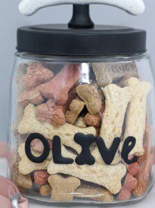 personalized diy dog treat jar